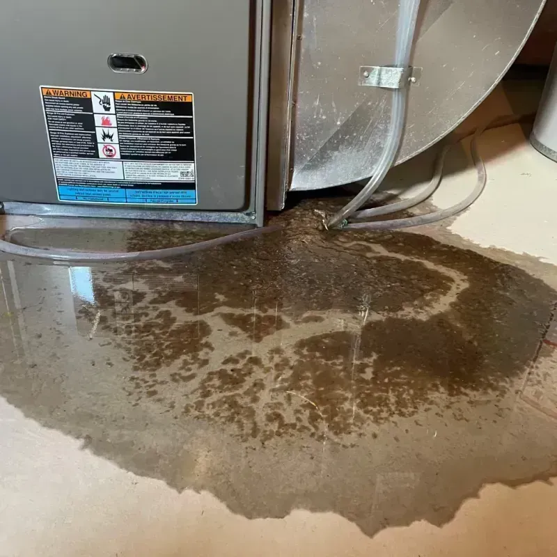 Appliance Leak Cleanup in DeKalb County, AL